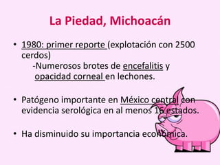 La Piedad, Michoacán
• 1980: primer reporte (explotación con 2500
cerdos)
-Numerosos brotes de encefalitis y
opacidad corneal en lechones.
• Patógeno importante en México central con
evidencia serológica en al menos 16 estados.

• Ha disminuido su importancia económica.

 