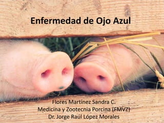 Enfermedad de Ojo Azul

Flores Martínez Sandra C.
Medicina y Zootecnia Porcina (FMVZ)
Dr. Jorge Raúl López Morales

 