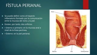 FÍSTULA PERIANAL
 Se puede definir como el trayecto
inflamatorio formado por la comunicación
entre la mucosa del recto y la piel.
 Existen, por tanto, dos orificios:
 • Interno o primario: en la mucosa anal a
nivel de la línea pectínea.
 • Externo: en la piel perianaL
 