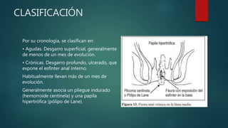 CLASIFICACIÓN
Por su cronología, se clasifican en:
• Agudas. Desgarro superficial, generalmente
de menos de un mes de evolución.
• Crónicas. Desgarro profundo, ulcerado, que
expone el esfínter anal interno.
Habitualmente llevan más de un mes de
evolución.
Generalmente asocia un pliegue indurado
(hemorroide centinela) y una papila
hipertrófica (pólipo de Lane).
 