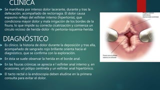 CLÍNICA
 Se manifiesta por intenso dolor lacerante, durante y tras la
defecación, acompañado de rectorragia. El dolor causa
espasmo reflejo del esfínter interno (hipertonía), que
condiciona mayor dolor y mala irrigación de los bordes de la
fisura, lo que impide su correcta cicatrización y comienza un
círculo vicioso de herida-dolor -hi pertonía-isquemia-herida.
DIAGNÓSTICO
 Es clínico. la historia de dolor durante la deposición y tras ella,
acompañado de sangrado rojo brillante orienta hacia el
diagnóstico, que se confirma con la exploración.
 En ésta se suele observar la herida en el borde anal.
 En las fisuras crónicas se aprecia e l esfínter anal interno y, en
ocasiones, un pólipo centinela y un esfínter anal hipertónico.
 El tacto rectal o la endoscopia deben eludirse en la primera
consulta para evitar el dolor.
 