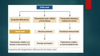 Enfermedades perianales