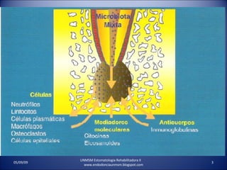 UNMSM Estomatologia Rehabilitadora II  www.endodonciaunmsm.blogspot.com 06/10/09 