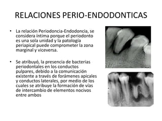 RELACIONES PERIO-ENDODONTICAS
• La relación Periodoncia-Endodoncia, se
considera íntima porque el periodonto
es una sola unidad y la patología
periapical puede comprometer la zona
marginal y viceversa.
• Se atribuyó, la presencia de bacterias
periodontales en los conductos
pulpares, debido a la comunicación
existente a través de forámenes apicales
y conductos laterales, por medio de los
cuales se atribuye la formación de vías
de intercambio de elementos nocivos
entre ambos
 