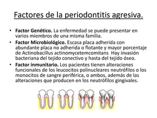 Factores de la periodontitis agresiva.
• Factor Genético. La enfermedad se puede presentar en
varios miembros de una misma familia.
• Factor Microbiológico. Escasa placa adherida con
abundante placa no adherida o flotante y mayor porcentaje
de Actinobacillus actinomycetemcomitans Hay invasión
bacteriana del tejido conectivo y hasta del tejido óseo.
• Factor inmunitario. Los pacientes tienen alteraciones
funcionales de los leucocitos polinucleares neutrófilos o los
monocitos de sangre periférica, o ambos, además de las
alteraciones que producen en los neutrófilos gingivales.
 