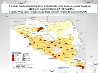 Figura 2. Distritos afectados por el brote de EVE en los países de África Occidental 
(Semana epidemiológica 37 (SE37/2014)) 
Fuente: WHO Ebola Response Roadmap Situation Report. 18 September 2014 
 