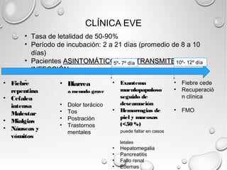 CLÍNICA EVE 
• Tasa de letalidad de 50-90% 
• Período de incubación: 2 a 21 días (promedio de 8 a 10 
días) 
• Pacientes ASINTOMÁTICOS NNOO TTRRAANNSSMMIITTEENN 
IINNFFEECCCCIIÓÓNN 
• Fiebre 
repentina 
• Cefalea 
intensa 
Malestar 
• Mialgias 
• Náuseas y 
vómitos 
• Diarrea 
a menudo grave 
• Dolor torácico 
• Tos 
• Postración 
• Trastornos 
mentales 
5º- 7º día 10º- 12º día 
• Exantema 
maculopapuloso 
seguido de 
descamación 
• Hemorragias de 
piel y mucosas 
(<50 %) 
puede faltar en casos 
letales 
• Hepatomegalia 
• Pancreatitis 
• Fallo renal 
• Edemas 
• Fiebre cede 
• Recuperació 
n clínica 
• FMO 
 