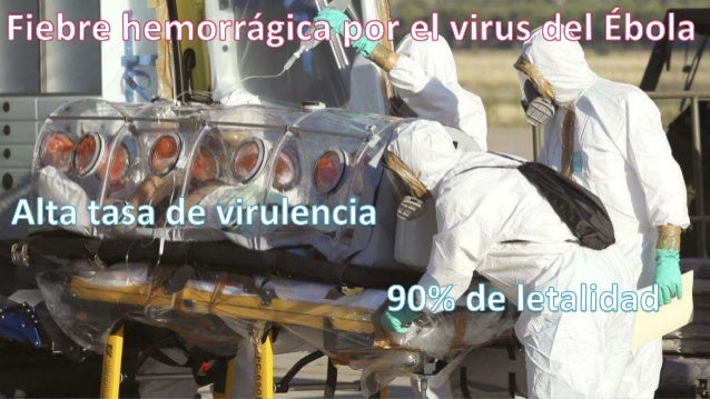 YILONG Aiebao beb/é Cadera del cintur/ón de Seguridad del Portador Toodler Cintura del Taburete del Asiento del Portador de beb/é de 45 Grados Honda de la Correa de Cintura Cadera Asiento Infantil A6606