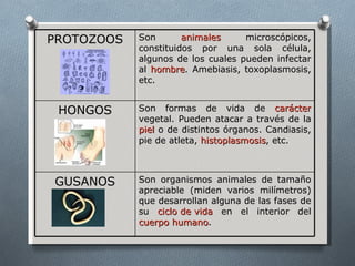 PROTOZOOS   Son       animales     microscópicos,
            constituidos por una sola célula,
            algunos de los cuales pueden infectar
            al hombre. Amebiasis, toxoplasmosis,
            etc.


 HONGOS     Son formas de vida de carácter
            vegetal. Pueden atacar a través de la
            piel o de distintos órganos. Candiasis,
            pie de atleta, histoplasmosis, etc.



GUSANOS     Son organismos animales de tamaño
            apreciable (miden varios milímetros)
            que desarrollan alguna de las fases de
            su ciclo de vida en el interior del
            cuerpo humano.
 
