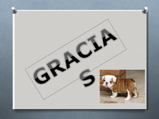 Enfermedad profesional