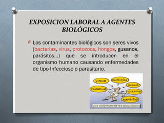EXPOSICION LABORAL A AGENTES
         BIOLÓGICOS
O Los contaminantes biológicos son seres vivos
  (bacterias, virus, protozoos, hongos, gusanos,
  parásitos...) que se introducen en el
  organismo humano causando enfermedades
  de tipo Infeccioso o parasitario.
 