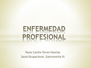 Paula Camila Torres Huertas 
Salud Ocupacional, Gastronomía VI 
 