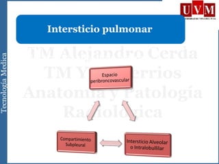 • Red continua de tabiques conectivos desde los
hilios hasta la superficie pleural.
Intersticio pulmonar
 