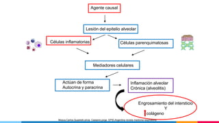 Agente causal
Lesión del epitelio alveolar
Células inflamatorias Células parenquimatosas
Mediadores celulares
Actúan de forma
Autocrina y paracrina
Inflamación alveolar
Crónica (alveolitis)
Engrosamiento del intersticio
Y
colágeno
Mosca,Carlos,Quadrelli,silvia. Castanni,jorge. EPID,Argentina revista medicina respiratoria
 