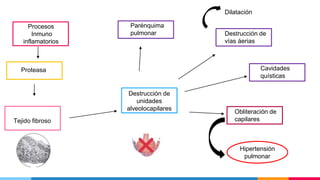 Procesos
Inmuno
inflamatorios
Proteasa
Tejido fibroso
Destrucción de
unidades
alveolocapilares
Parénquima
pulmonar Destrucción de
vías áerias
Dilatación
Cavidades
quísticas
Obliteración de
capilares
Hipertensión
pulmonar
 