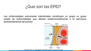 ¿Que son las EPID?
Las enfermedades pulmonares intersticiales constituyen un grupo un grupo
amplio de enfermedades que afectan predominantemente a la estructura
alveolointersticial del pulmón
Rodríguez Portal, J.A. Enfermedades intersticiales difusas del pulmón 28 marzo 2023
 