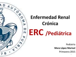 Enfermedad Renal
Crónica
ERC /Pediátrica
Pediatría
Mora López Marisol
Primavera 2015
1
 