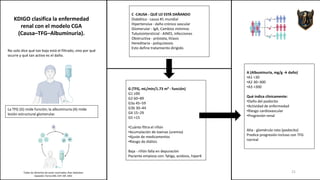 ENFERMEDAD RENAL CRÓNICA Y MEDICAMENTOS - clasificación KDIGO 2026 | PDF
