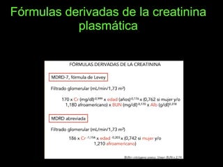 Fórmulas derivadas de la creatinina plasmática 