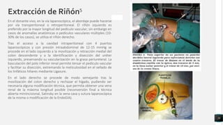 Riñon Extraido Enfermedad renal cronica | PDF