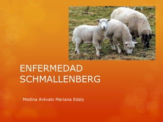 ENFERMEDAD
SCHMALLENBERG

Medina Arévalo Mariana Edaly
 