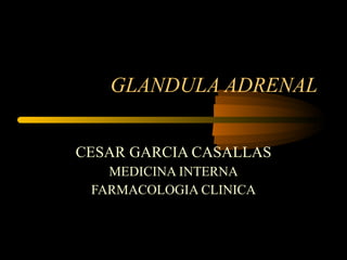 GLANDULA ADRENAL CESAR GARCIA CASALLAS MEDICINA INTERNA FARMACOLOGIA CLINICA 