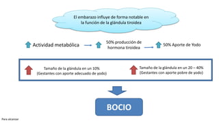 Tamaño de la glándula en un 20 – 40%
(Gestantes con aporte pobre de yodo)
Actividad metabólica
50% producción de
hormona tiroidea
50% Aporte de Yodo
Tamaño de la glándula en un 10%
(Gestantes con aporte adecuado de yodo)
BOCIO
El embarazo influye de forma notable en
la función de la glándula tiroidea
Para alcanzar
 