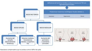 Predominan trastornos morfológicos focales debidos a:
Hiperplasia Degeneración Fibrosis
deficiencia de hormona tiroidea q induce el exceso de TSH con
agrandamiento tiroideo
Hiperplasia compensadora que se produce ante el déficit de yodo
BOCIO NO TOXICO
BOCIO DIFUSO
Aumento del
tamaño
(Generalmente
Simétrica)
Volumen mediano
Consistencia
blanda y superficie
lisa
BOCIO NODULAR
Aumento del
perímetro
o asimetría
cervicales
 