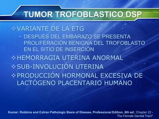 TUMOR TROFOBLASTICO DSP
VARIANTE DE LA ETG
 DESPUÉS DEL EMBARAZO SE PRESENTA
PROLIFERACIÓN BENIGNA DEL TROFOBLASTO
EN EL SITIO DE INSERCIÓN
HEMORRAGIA UTERINA ANORMAL
SUB-INVOLUCIÓN UTERINA
PRODUCCIÓN HORMONAL EXCESIVA DE
LACTÓGENO PLACENTARIO HUMANO
Kumar: Robbins and Cotran Pathologic Basis of Disease, Professional Edition, 8th ed.; Chapter 22 -
The Female Genital Tract*
 