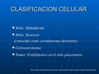 CLASIFICACION CELULAR  Mola  Hidatiforme   Mola  Invasora  (conocida como coriadenoma dextruens)   Coriocarcinoma  Tumor Trofoblastico en el sitio placentario   REX C. BENTLEY DEPARTAMENT OF PATHOLOGY , DUKE UNIVERSITY MEDICAL CENTER, DURHAM,  NORTH CAROLINA 
