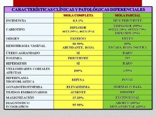 MOLA COMPLETA Y PARCIAL
 