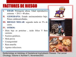 FACTORES DE RIESGO
I. EDAD: Primigesta añosa. Edad reproductiva
extrema < 20 ó > 40 años.
II. GEOGRAFIA: Estado socioeconómico bajo.
Paises subdesarrollados.
III. RIESGO MOLAR: segunda mola en 3% de
casos.
IV. OTROS:
• Dieta baja en proteínas , ácido fólico Y Beta
caroteno
• Factores genéticos.
• Mola previa
• Cosanguinidad
• Raza amarilla
• Agentes infecciosos.
Epidemiology an Aetiology of Gestational trophoblastic Disease. The Lancet
Oncology. Volume 4, Number11, November2003
 