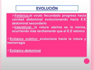 Fímbrico:el ovulo fecundado progresa hacia
cavidad abdominal evolucionando hacia E.E
abdominal secundario
Intersticial: la rotura uterina es la norma,
ocurriendo más tardiamente que el E.E ístmico
Ectópico ovárico: evoluciona hacia la rotura y
hemorragia
Ectópico abdominal
 