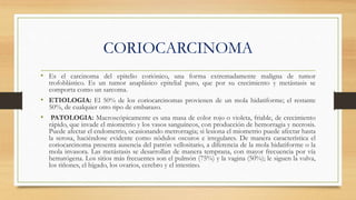 CORIOCARCINOMA
• Es el carcinoma del epitelio coriónico, una forma extremadamente maligna de tumor
trofoblástico. Es un tumor anaplásico epitelial puro, que por su crecimiento y metástasis se
comporta como un sarcoma.
• ETIOLOGIA: El 50% de los coriocarcinomas provienen de un mola hidatiforme; el restante
50%, de cualquier otro tipo de embarazo.
• PATOLOGIA: Macroscópicamente es una masa de color rojo o violeta, friable, de crecimiento
rápido, que invade el miometrio y los vasos sanguíneos, con producción de hemorragia y necrosis.
Puede afectar el endometrio, ocasionando metrorragia; si lesiona el miometrio puede afectar hasta
la serosa, haciéndose evidente como nódulos oscuros e irregulares. De manera característica el
coriocarcinoma presenta ausencia del patrón vellositario, a diferencia de la mola hidatiforme o la
mola invasora. Las metástasis se desarrollan de manera temprana, con mayor frecuencia por vía
hematógena. Los sitios más frecuentes son el pulmón (75%) y la vagina (50%); le siguen la vulva,
los riñones, el hígado, los ovarios, cerebro y el intestino.
 