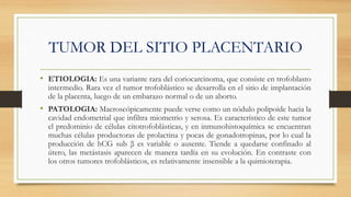 TUMOR DEL SITIO PLACENTARIO
• ETIOLOGIA: Es una variante rara del coriocarcinoma, que consiste en trofoblasto
intermedio. Rara vez el tumor trofoblástico se desarrolla en el sitio de implantación
de la placenta, luego de un embarazo normal o de un aborto.
• PATOLOGIA: Macroscópicamente puede verse como un nódulo polipoide hacia la
cavidad endometrial que infiltra miometrio y serosa. Es característico de este tumor
el predominio de células citotrofoblásticas, y en inmunohistoquímica se encuentran
muchas células productoras de prolactina y pocas de gonadotropinas, por lo cual la
producción de hCG sub β es variable o ausente. Tiende a quedarse confinado al
útero, las metástasis aparecen de manera tardía en su evolución. En contraste con
los otros tumores trofoblásticos, es relativamente insensible a la quimioterapia.
 