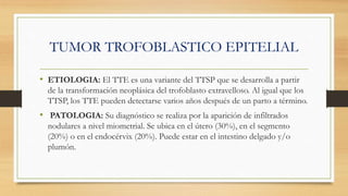 TUMOR TROFOBLASTICO EPITELIAL
• ETIOLOGIA: El TTE es una variante del TTSP que se desarrolla a partir
de la transformación neoplásica del trofoblasto extravelloso. Al igual que los
TTSP, los TTE pueden detectarse varios años después de un parto a término.
• PATOLOGIA: Su diagnóstico se realiza por la aparición de infiltrados
nodulares a nivel miometrial. Se ubica en el útero (30%), en el segmento
(20%) o en el endocérvix (20%). Puede estar en el intestino delgado y/o
plumón.
 