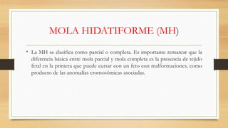 MOLA HIDATIFORME (MH)
• La MH se clasifica como parcial o completa. Es importante remarcar que la
diferencia básica entre mola parcial y mola completa es la presencia de tejido
fetal en la primera que puede cursar con un feto con malformaciones, como
producto de las anomalías cromosómicas asociadas.
 