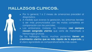 HALLAZGOS CLINICOS.
● Por lo general, 1 a 2 meses de amenorrea preceden al
diagnóstico.
● A medida que avanza la gestación, los síntomas tienden
a ser más pronunciados con las molas completas en
comparación con las parciales.
● Los embarazos molares no tratados casi siempre
causan sangrado uterino que varía de manchado a
hemorragia profusa.
De los hallazgos físicos, muchas pacientes tienen un
crecimiento uterino que es más rápido de lo esperado, y
el útero agrandado es comparativamente más suave.
 