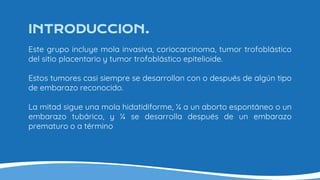 INTRODUCCION.
Este grupo incluye mola invasiva, coriocarcinoma, tumor trofoblástico
del sitio placentario y tumor trofoblástico epitelioide.
Estos tumores casi siempre se desarrollan con o después de algún tipo
de embarazo reconocido.
La mitad sigue una mola hidatidiforme, ¼ a un aborto espontáneo o un
embarazo tubárico, y ¼ se desarrolla después de un embarazo
prematuro o a término
 