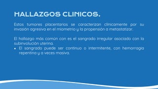 HALLAZGOS CLINICOS.
Estos tumores placentarios se caracterizan clínicamente por su
invasión agresiva en el miometrio y la propensión a metastatizar.
El hallazgo más común con es el sangrado irregular asociado con la
subinvolución uterina.
● El sangrado puede ser continuo o intermitente, con hemorragia
repentina y a veces masiva.
 