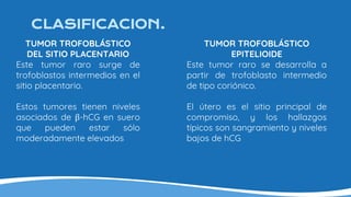 CLASIFICACION.
TUMOR TROFOBLÁSTICO
DEL SITIO PLACENTARIO
Este tumor raro surge de
trofoblastos intermedios en el
sitio placentario.
Estos tumores tienen niveles
asociados de β-hCG en suero
que pueden estar sólo
moderadamente elevados
TUMOR TROFOBLÁSTICO
EPITELIOIDE
Este tumor raro se desarrolla a
partir de trofoblasto intermedio
de tipo coriónico.
El útero es el sitio principal de
compromiso, y los hallazgos
típicos son sangramiento y niveles
bajos de hCG
 