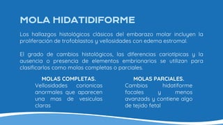 MOLA HIDATIDIFORME
Los hallazgos histológicos clásicos del embarazo molar incluyen la
proliferación de trofoblastos y vellosidades con edema estromal.
El grado de cambios histológicos, las diferencias cariotípicas y la
ausencia o presencia de elementos embrionarios se utilizan para
clasificarlos como molas completas o parciales.
MOLAS COMPLETAS.
Vellosidades corionicas
anormales que aparecen
una mas de vesiculas
claras
MOLAS PARCIALES.
Cambios hidatiforme
focales y menos
avanzads y contiene algo
de tejido fetal
 