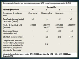 Enfermedad trofoblàstica gestacional