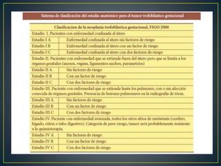 Enfermedad trofoblàstica gestacional
