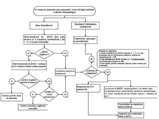 Enfermedad trofoblàstica gestacional
