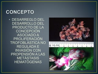 • DESARREGLO DEL 
DESARROLLO DEL 
PRODUCTO DE LA 
CONCEPCIÒN 
ASOCIADO A 
PROLIFERACIÒN 
TROFOBLÀSTICA NO 
REGULADA E 
INVASIÒN CON 
PROPENSIÒN A LAS 
METÀSTASIS 
HEMATÒGENAS 
 