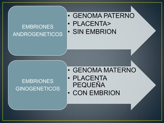 • GENOMA PATERNO 
• PLACENTA> 
• SIN EMBRION 
EMBRIONES 
ANDROGENETICOS 
• GENOMA MATERNO 
• PLACENTA 
PEQUEÑA 
• CON EMBRION 
EMBRIONES 
GINOGENETICOS 
 
