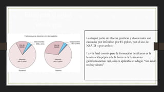 Fisiopatología y
etiología
La mayor parte de úlceras gástricas y duodenales son
causadas por infección por H. pylori, por el uso de
NSAID o por ambos
La vía final común para la formación de úlceras es la
lesión acidopéptica de la barrera de la mucosa
gastroduodenal. Así, aún es aplicable el adagio “sin ácido
no hay úlcera”
 