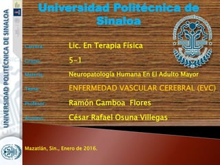 Universidad Politécnica de
Sinaloa
Carrera: Lic. En Terapia Física
Grupo: 5-1
Materia: Neuropatología Humana En El Adulto Mayor
Tema: ENFERMEDAD VASCULAR CEREBRAL (EVC)
Profesor: Ramón Gamboa Flores
Alumno: César Rafael Osuna Villegas
Mazatlán, Sin., Enero de 2016.
 