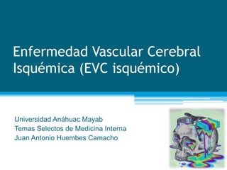 Enfermedad Vascular Cerebral
Isquémica (EVC isquémico)
Universidad Anáhuac Mayab
Temas Selectos de Medicina Interna
Juan Antonio Huembes Camacho
 